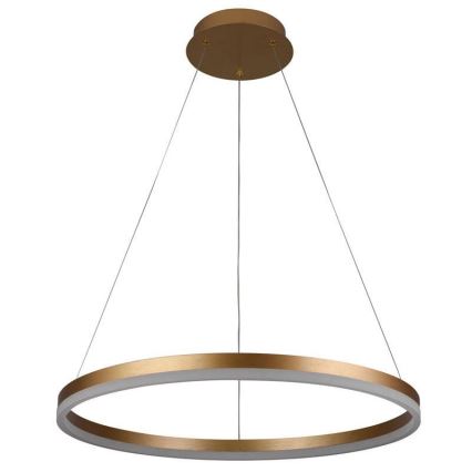 Brilagi - Lampadario LED dimmerabile a sospensione con cavo CIRCLE LED/42W/230V 3000-6500K Ø 60 cm + telecomando