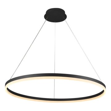 Brilagi - Lampadario LED dimmerabile sospeso a cavo CIRCLE LED/55W/230V 3000-6500K Ø 80 cm nero + telecomando