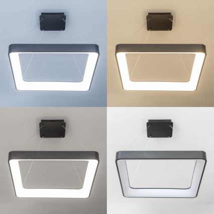 Brilagi - Lampadario LED dimmerabile a cavo FALCON II LED/125W/230V 3000-6500K 60x60 cm nero + telecomando