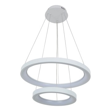Brilagi - Lampadario LED dimmerabile sospeso su cavo FALCON SLIM LED/68W/230V 3000-6500K Ø 50 cm bianco + telecomando