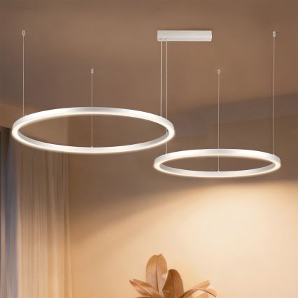 Brilagi - Lampadario LED dimmerabile a sospensione su cavo PORTOFINO LED/98W/230V 3000-6000K argento + telecomando