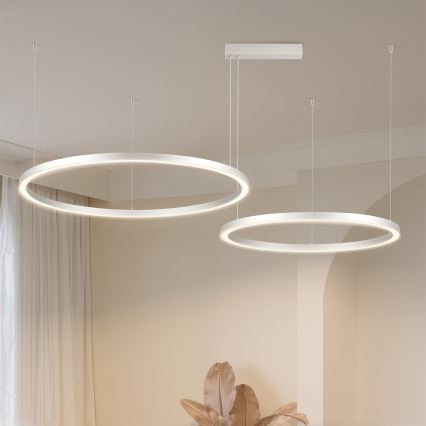Brilagi - Lampadario LED dimmerabile a sospensione su cavo PORTOFINO LED/98W/230V 3000-6000K argento + telecomando
