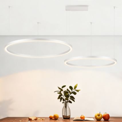 Brilagi - Lampadario LED dimmerabile a sospensione su cavo PORTOFINO LED/98W/230V 3000-6000K argento + telecomando
