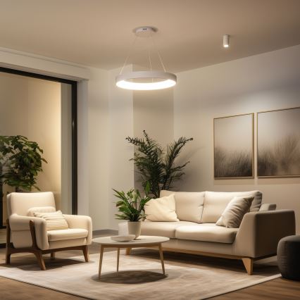 Brilagi - Lampadario sospeso dimmerabile a cavi FALCON II LED/99W/230V 3000-6500K Ø 60 cm bianco + telecomando