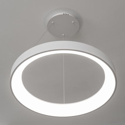 Brilagi - Lampadario sospeso dimmerabile a cavi FALCON II LED/99W/230V 3000-6500K Ø 60 cm bianco + telecomando