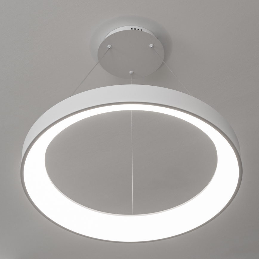Brilagi - Lampadario sospeso dimmerabile a cavi FALCON II LED/99W/230V 3000-6500K Ø 60 cm bianco + telecomando