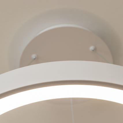 Brilagi - Lampadario sospeso dimmerabile a cavi FALCON II LED/99W/230V 3000-6500K Ø 60 cm bianco + telecomando