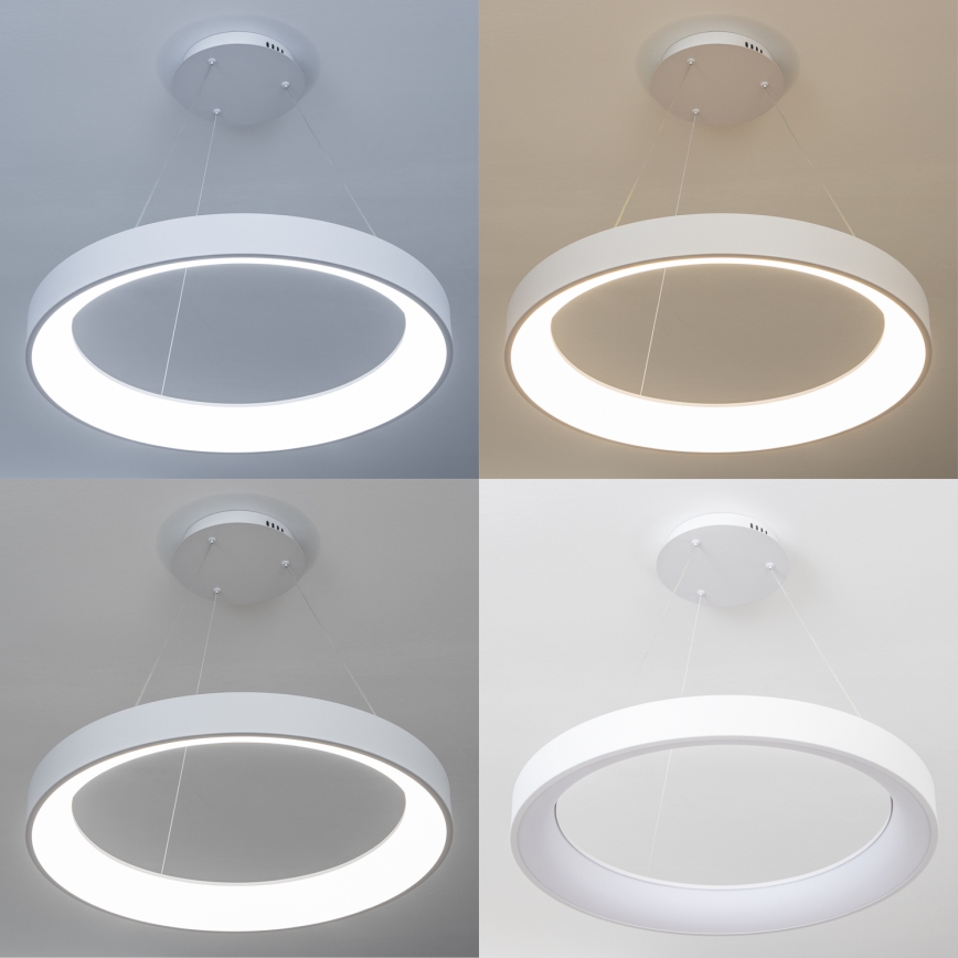 Brilagi - Lampadario sospeso dimmerabile a cavi FALCON II LED/99W/230V 3000-6500K Ø 60 cm bianco + telecomando