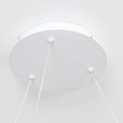 Brilagi - Lampadario sospeso dimmerabile a cavi FALCON II LED/99W/230V 3000-6500K Ø 60 cm bianco + telecomando