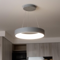 Brilagi - Lampadario LED dimmerabile su cavo FALCON LED/80W/230V 3000-6500K Ø 60 cm grigio + telecomando