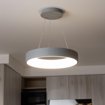 Brilagi - Lampadario LED dimmerabile su cavo FALCON LED/80W/230V 3000-6500K Ø 60 cm grigio + telecomando