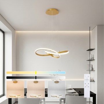 Brilagi - lampadario LED dimmerabile su cavo INFINITY LED/55W/230V 3000-6000K 50x50 cm oro + telecomando