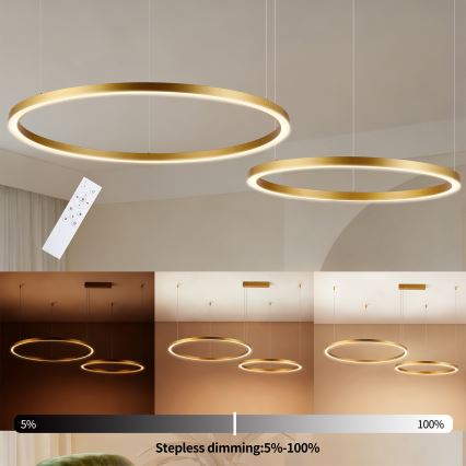 Brilagi - Lampadario LED dimmerabile su cavo PORTOFINO LED/98W/230V 3000-6000K dorato + telecomando