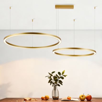 Brilagi - Lampadario LED dimmerabile su cavo PORTOFINO LED/98W/230V 3000-6000K dorato + telecomando