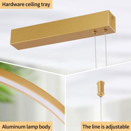 Brilagi - Lampadario LED dimmerabile su cavo PORTOFINO LED/98W/230V 3000-6000K dorato + telecomando