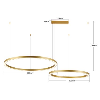 Brilagi - Lampadario LED dimmerabile su cavo PORTOFINO LED/98W/230V 3000-6000K dorato + telecomando