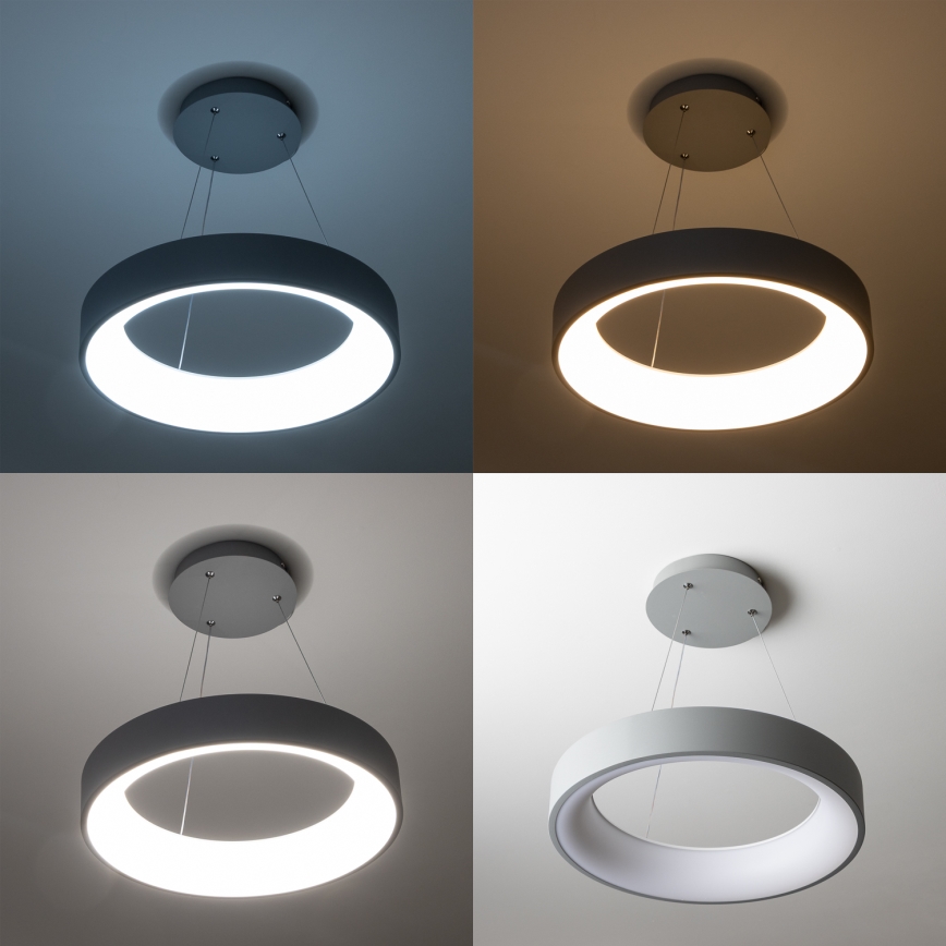 Brilagi - Lampadario LED Dimmerabile su corda FALCON LED/80W/230V 3000-6500K grigio + telecomando