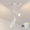 Brilagi - Lampadario LED RGBW dimmerabile su asta BRANCH 2xGU10/6,5W/230V 2700-6500K bianco