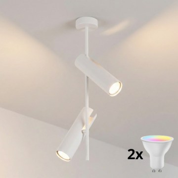 Brilagi - Lampadario LED RGBW dimmerabile su asta BRANCH 2xGU10/6,5W/230V 2700-6500K bianco