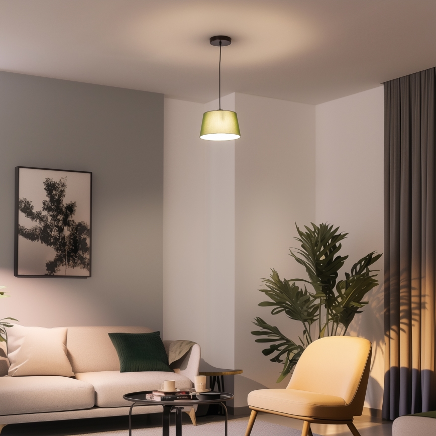 Brilagi - Lampadario LED sospeso con cavo CERIA 1xE27/40W/230V Ø 25 cm verde