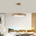 Brilagi - Lampadario LED sospeso con cavo FALCON WOOD LED/40W/230V 3000/4000/6000K Ø 60 cm in legno