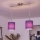 Brilagi - Lampadario LED sospeso su cavo NUBILA 2xE27/60W/230V viola