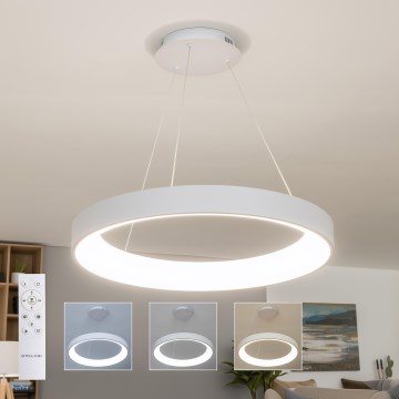 Brilagi - Lampadario sospeso dimmerabile a cavi FALCON II LED/99W/230V 3000-6500K Ø 60 cm bianco + telecomando