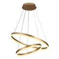 Brilagi - Lampadario sospeso dimmerabile a cavo CIRCLE LED/70W/230V 3000-6500K Ø 60 cm oro + telecomando