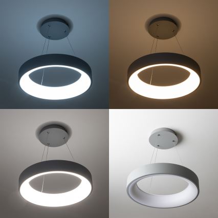 Brilagi - Lampadario LED dimmerabile su cavo FALCON LED/80W/230V 3000-6500K Ø 60 cm grigio + telecomando