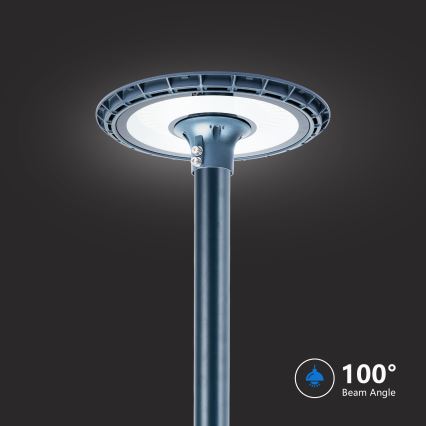 Brilagi - Lampione stradale LED per esterni URBANSPARK LED/120W/230V antracite IP65