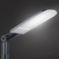 Brilagi - Lampione stradale LED URBANLIGHT LED/250W/230V antracite IP65