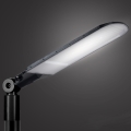 Brilagi - Lampione stradale LED URBANLIGHT LED/250W/230V nero IP65