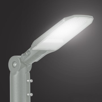 Brilagi - Lampione stradale LED URBANLIGHT LED/50W/230V grigio IP65