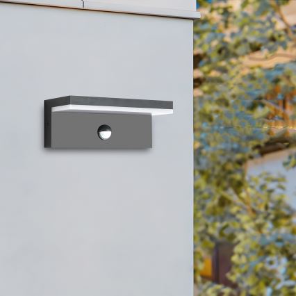 Brilagi - Applique LED da esterno con sensore TESSI LED/10W/230V antracite IP54