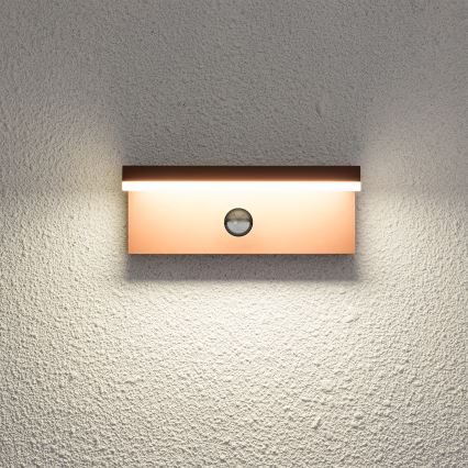 Brilagi - Applique da esterno LED con sensore TESSI LED/10W/230V marrone IP54