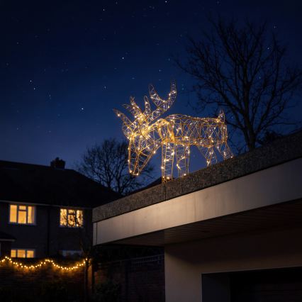 BRILAGI - LED Decorazione natalizia per esterni LED/3,3W/230V IP44 56x43 cm renna