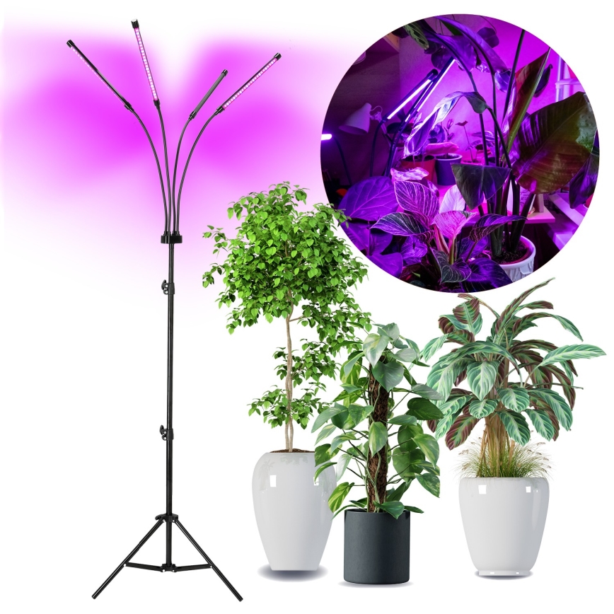 Brilagi - LED Dimmerabile flessibile lampada con piedistallo per la coltivazione di piante VITABLOOM 4xLED/7,5W/230V nero