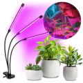 BRILAGI - LED Dimmerabile flessibile lampada da tavolo con clip per la coltivazione di piante VITABLOOM 3xLED/10W/230V nero