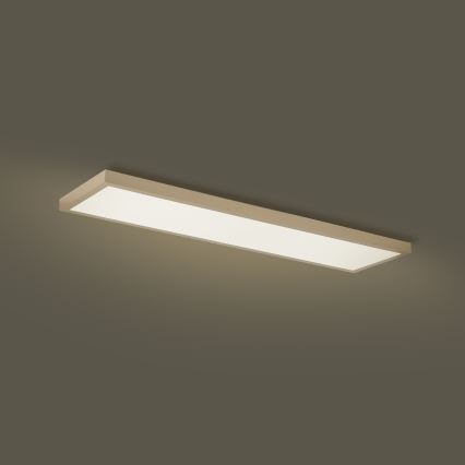 Brilagi - Plafoniera da bagno dimmerabile a LED FRAME SMART LED/50W/230V 120x30 cm 3000-6000K IP44 beige + telecomando