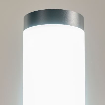 BRILAGI - Lampada LED da esterno dimmerabile con presa integrata ELIA 1xE27/6W/230V 2700-6500K IP44 Wi-Fi 50 cm antracite