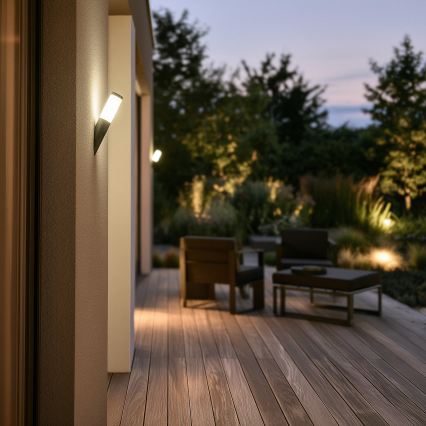 BRILAGI - Lampada da parete esterna dimmerabile a LED ELIA 1xE27/6W/230V 2700-6500K IP44 Wi-Fi antracite