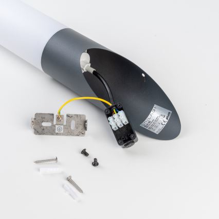BRILAGI - Lampada da parete esterna dimmerabile a LED ELIA 1xE27/6W/230V 2700-6500K IP44 Wi-Fi antracite