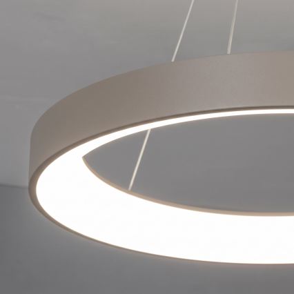 BRILAGI - LED lampadario dimmerabile a cavo FALCON II LED/99W/230V 3000-6500K Ø 60 cm beige + telecomando