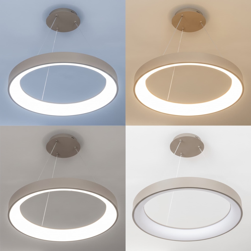 BRILAGI - LED lampadario dimmerabile a cavo FALCON II LED/99W/230V 3000-6500K Ø 60 cm beige + telecomando