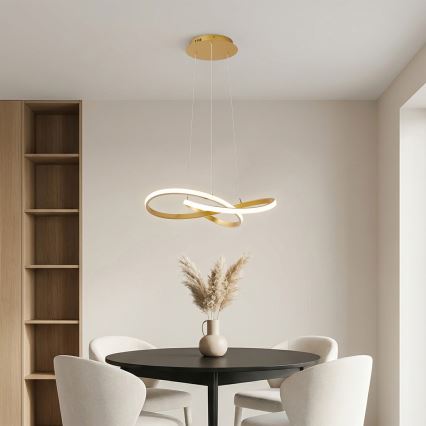 Brilagi - lampadario LED dimmerabile su cavo INFINITY LED/55W/230V 3000-6000K 50x50 cm oro + telecomando