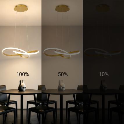 Brilagi - lampadario LED dimmerabile su cavo INFINITY LED/55W/230V 3000-6000K 50x50 cm oro + telecomando