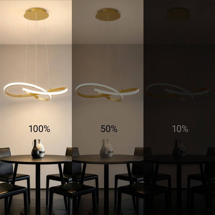 Brilagi - lampadario LED dimmerabile su cavo INFINITY LED/55W/230V 3000-6000K 50x50 cm oro + telecomando