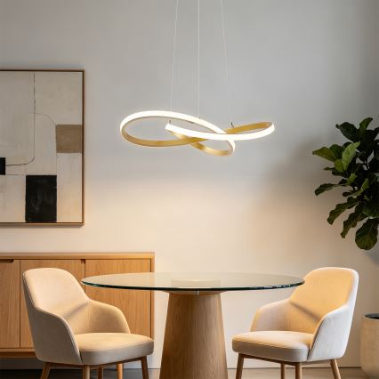 Brilagi - lampadario LED dimmerabile su cavo INFINITY LED/55W/230V 3000-6000K 50x50 cm oro + telecomando