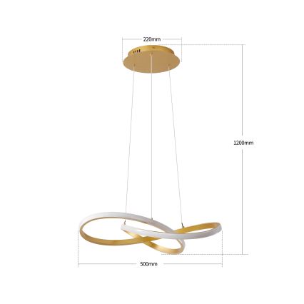 Brilagi - lampadario LED dimmerabile su cavo INFINITY LED/55W/230V 3000-6000K 50x50 cm oro + telecomando