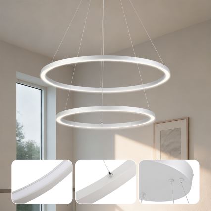 Brilagi - Lampadario a sospensione dimmerabile su cavo PORTOFINO LED/98W/230V 3000-6000K Ø 80 cm argento + telecomando